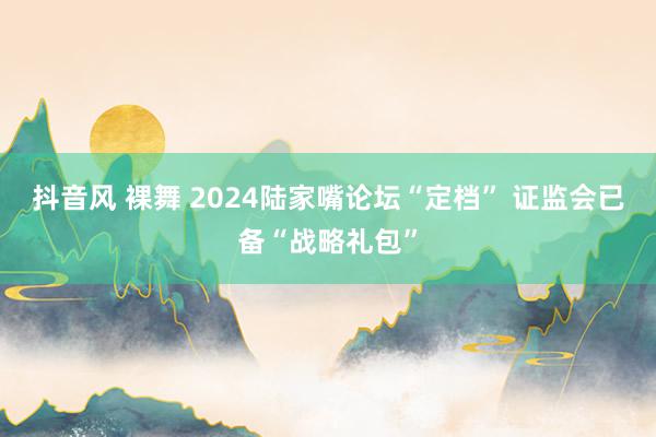 抖音风 裸舞 2024陆家嘴论坛“定档” 证监会已备“战略礼包”