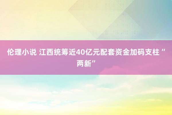 伦理小说 江西统筹近40亿元配套资金加码支柱“两新”