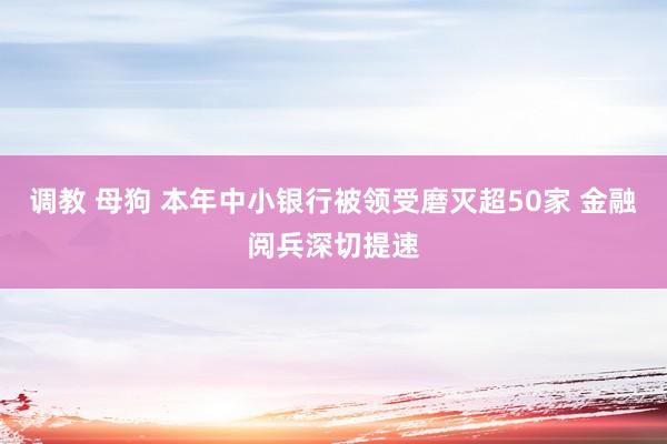 调教 母狗 本年中小银行被领受磨灭超50家 金融阅兵深切提速