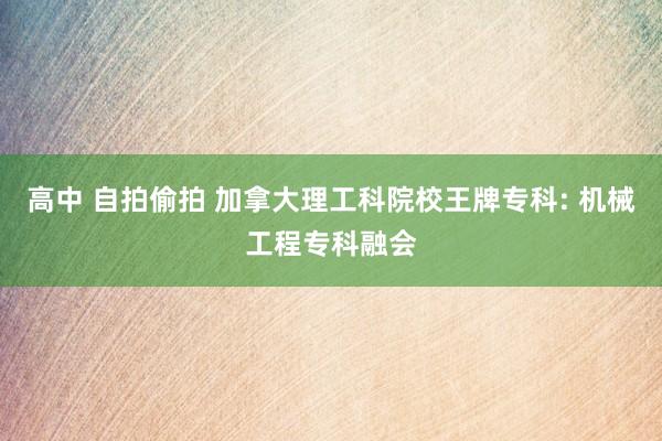 高中 自拍偷拍 加拿大理工科院校王牌专科: 机械工程专科融会