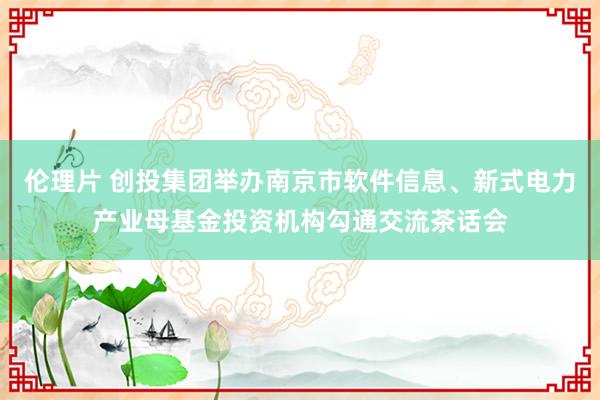 伦理片 创投集团举办南京市软件信息、新式电力产业母基金投资机构勾通交流茶话会