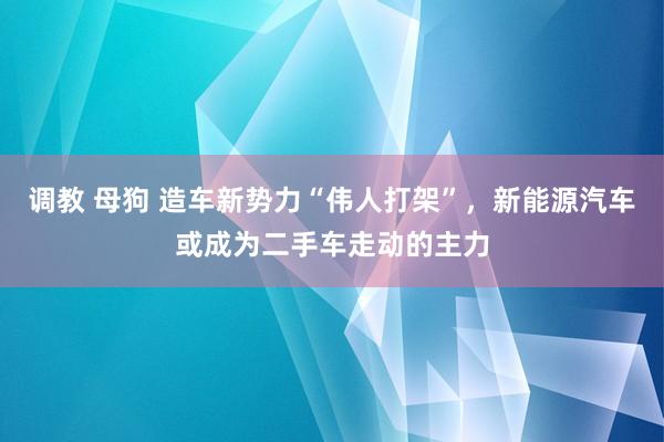 调教 母狗 造车新势力“伟人打架”，新能源汽车或成为二手车走动的主力