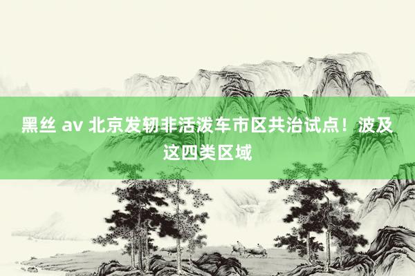 黑丝 av 北京发轫非活泼车市区共治试点！波及这四类区域