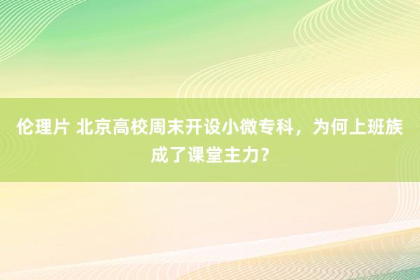 伦理片 北京高校周末开设小微专科，为何上班族成了课堂主力？