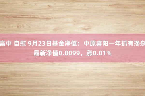 高中 自慰 9月23日基金净值：中原睿阳一年抓有搀杂最新净值0.8099，涨0.01%