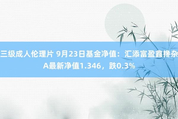 三级成人伦理片 9月23日基金净值：汇添富盈鑫搀杂A最新净值1.346，跌0.3%