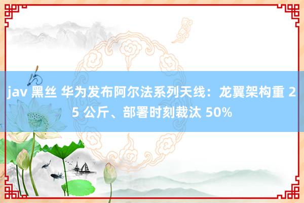 jav 黑丝 华为发布阿尔法系列天线：龙翼架构重 25 公斤、部署时刻裁汰 50%