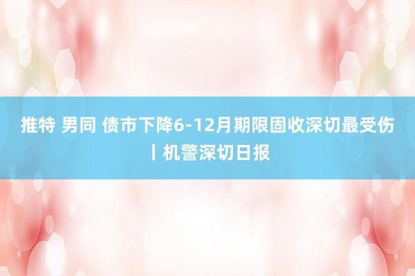 推特 男同 债市下降6-12月期限固收深切最受伤丨机警深切日报