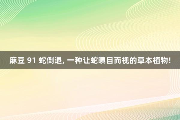 麻豆 91 蛇倒退， 一种让蛇瞋目而视的草本植物!