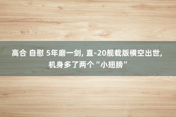 高合 自慰 5年磨一剑， 直-20舰载版横空出世， 机身多了两个“小翅膀”