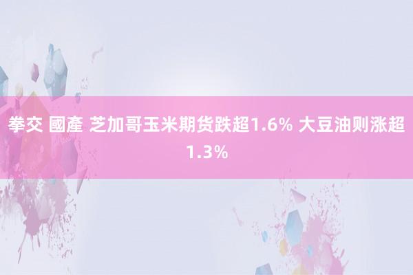 拳交 國產 芝加哥玉米期货跌超1.6% 大豆油则涨超1.3%