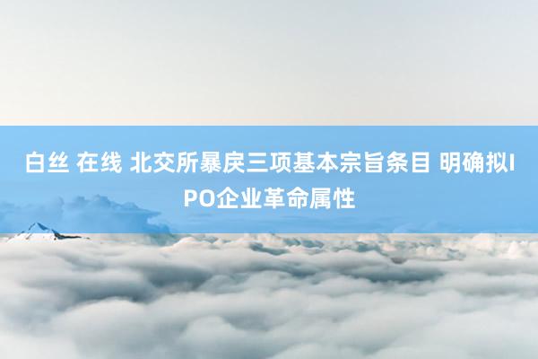 白丝 在线 北交所暴戾三项基本宗旨条目 明确拟IPO企业革命属性