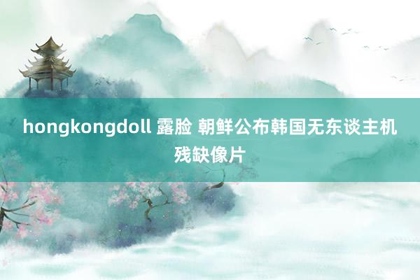 hongkongdoll 露脸 朝鲜公布韩国无东谈主机残缺像片