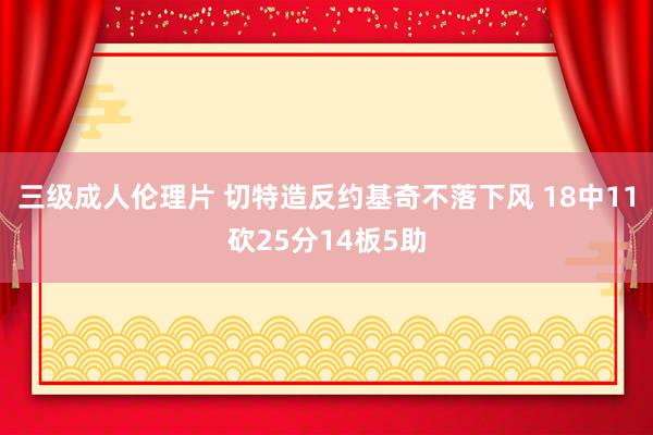 三级成人伦理片 切特造反约基奇不落下风 18中11砍25分14板5助