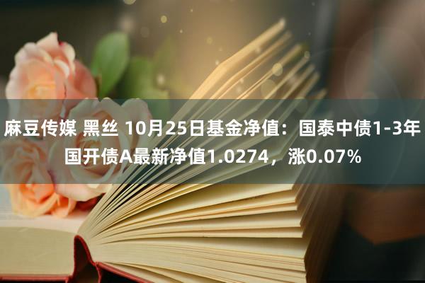 麻豆传媒 黑丝 10月25日基金净值：国泰中债1-3年国开债A最新净值1.0274，涨0.07%