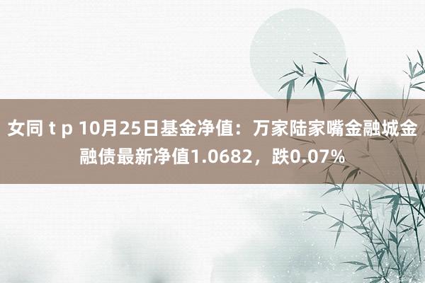 女同 t p 10月25日基金净值：万家陆家嘴金融城金融债最新净值1.0682，跌0.07%