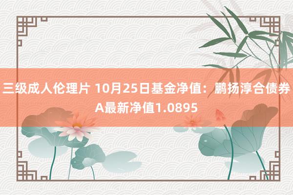 三级成人伦理片 10月25日基金净值：鹏扬淳合债券A最新净值1.0895