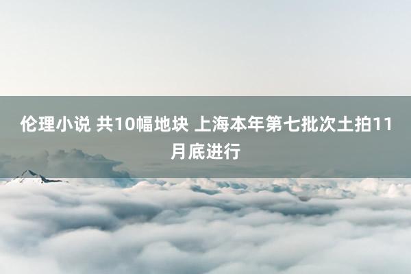 伦理小说 共10幅地块 上海本年第七批次土拍11月底进行