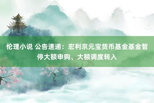 伦理小说 公告速递：宏利京元宝货币基金基金暂停大额申购、大额调度转入