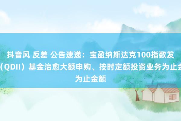 抖音风 反差 公告速递：宝盈纳斯达克100指数发起（QDII）基金治愈大额申购、按时定额投资业务为止金额