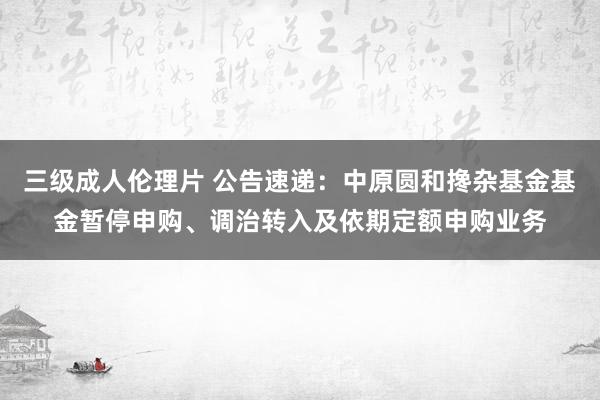 三级成人伦理片 公告速递：中原圆和搀杂基金基金暂停申购、调治转入及依期定额申购业务