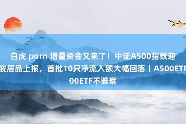 白虎 porn 增量资金又来了！中证A500指数迎来第二波居品上报，首批10只净流入额大幅回落丨A500ETF不雅察