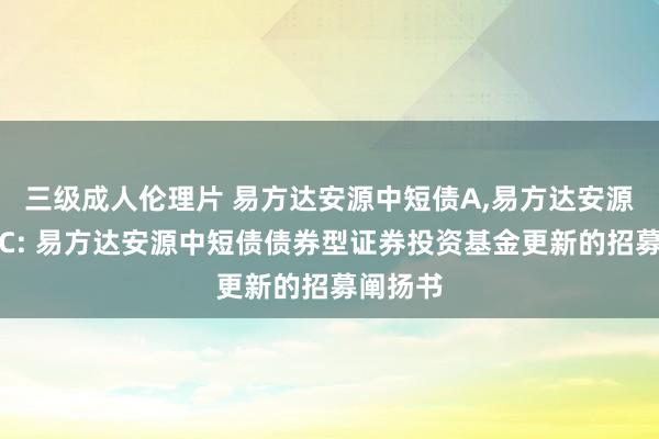 三级成人伦理片 易方达安源中短债A，易方达安源中短债C: 易方达安源中短债债券型证券投资基金更新的招募阐扬书