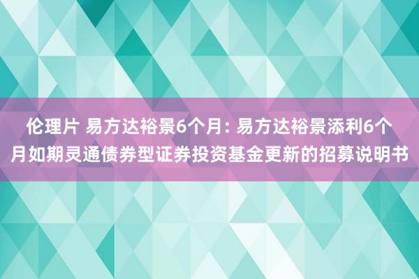 伦理片 易方达裕景6个月: 易方达裕景添利6个月如期灵通债券型证券投资基金更新的招募说明书