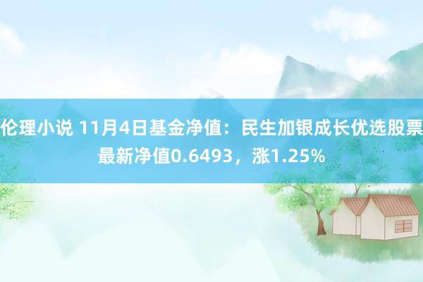 伦理小说 11月4日基金净值：民生加银成长优选股票最新净值0.6493，涨1.25%