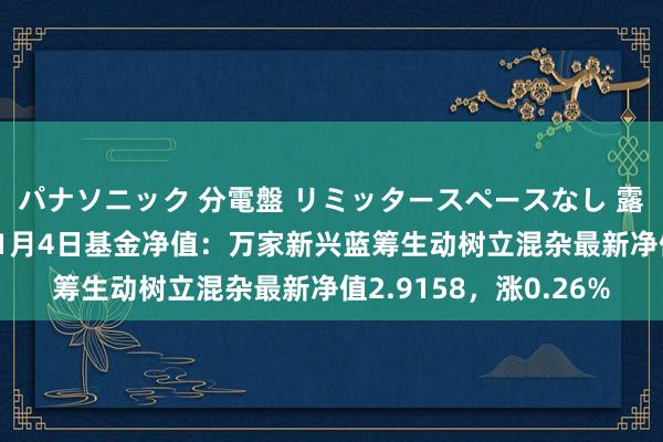 パナソニック 分電盤 リミッタースペースなし 露出・半埋込両用形 11月4日基金净值：万家新兴蓝筹生动树立混杂最新净值2.9158，涨0.26%