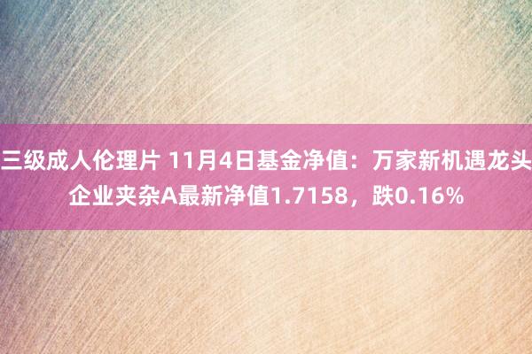 三级成人伦理片 11月4日基金净值：万家新机遇龙头企业夹杂A最新净值1.7158，跌0.16%