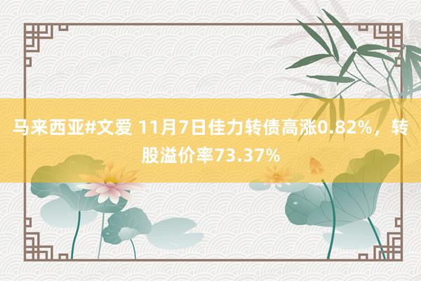 马来西亚#文爱 11月7日佳力转债高涨0.82%，转股溢价率73.37%