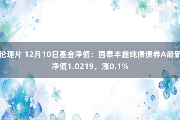 伦理片 12月10日基金净值：国泰丰鑫纯债债券A最新净值1.0219，涨0.1%