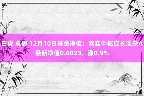 白虎 意思 12月10日基金净值：嘉实中枢成长混杂A最新净值0.6023，涨0.9%