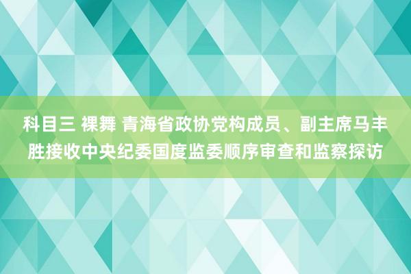 科目三 裸舞 青海省政协党构成员、副主席马丰胜接收中央纪委国度监委顺序审查和监察探访