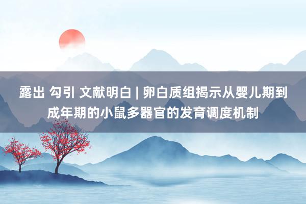 露出 勾引 文献明白 | 卵白质组揭示从婴儿期到成年期的小鼠多器官的发育调度机制