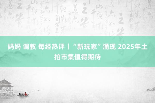 妈妈 调教 每经热评丨“新玩家”涌现 2025年土拍市集值得期待