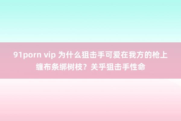 91porn vip 为什么狙击手可爱在我方的枪上缠布条绑树枝？关乎狙击手性命