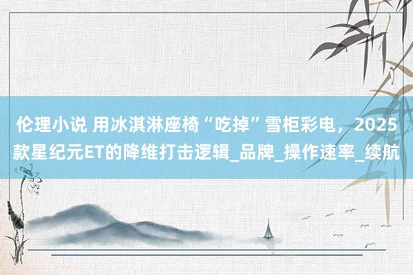 伦理小说 用冰淇淋座椅“吃掉”雪柜彩电，2025款星纪元ET的降维打击逻辑_品牌_操作速率_续航