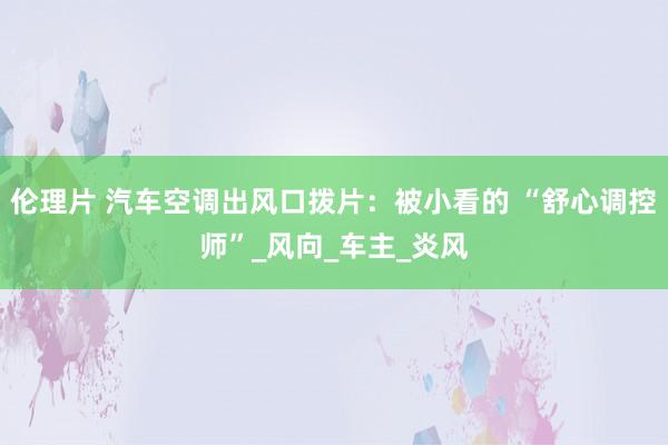 伦理片 汽车空调出风口拨片：被小看的 “舒心调控师”_风向_车主_炎风